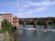 Albi