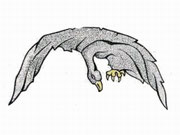 Spa 37