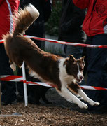 ...im offiziellen Lauf L2...