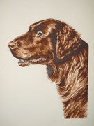 Scotty (Flat Coated Retriver) für Jens - Aquarell