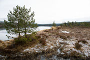 Loch Morlich