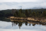 Loch Morlich