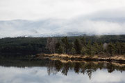 Loch Morlich