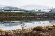 Loch Morlich