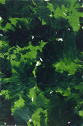 2014 180x240cm paint on canvas