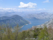 Blick auf Kotor