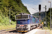Unipretrol 753 741 am 2.7.2017 in Schöna