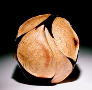 "Carambole polie" ronce de bruyère - h 20cm - 2002