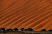 Duenenwellen im Namib - Naukluft - Park