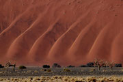 Sanfte Wellen - Namib-Naukluft-Park