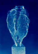 Andreas Jonak, 2024, "open", cyanotype on paper, 35 cm x 50 cm