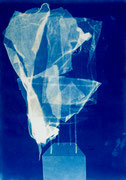 Andreas Jonak, 2024, "table", cyanotype on paper, 35 cm x 50 cm