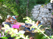sous les arbres...