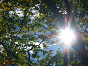 soleil cévenole !