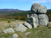 guetteur naturel