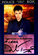 David Tennant / The Tenth Doctor