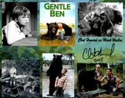 Clint Howard / Mark Wedloe (Gentle Ben)