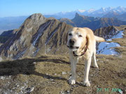 auf dem Gipfel der Bürglen