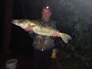 Zander, 76 cm, 3,2kg, 2025