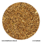 Anis (Anisi fructus)