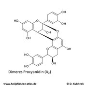 Dimeres Procyanidin A2 Strukturformel