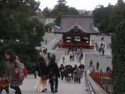 鶴岡八幡宮。階段がしんどかった・・・