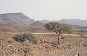 Von Palmwag ging es dann weiter in südöstlicher Richtung durch das hügelige, trockene Damaraland Richtung Twyfelfontein. Obwohl das Gebiet arm an Leben zu sein scheint, stellten wir bald fest, dass es eine faszinierende Tierwelt verbarg.