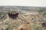 Dies ist die Olduvai Schlucht (eigentlich Oldupai), die Wiege der Menschheit. Bekannt wurde die Schlucht durch die Funde vieler pleistozäner Fossilien von Frühmenschen und viele uralte Steinwerzeuge (Oldowan genannt), die ältesten etwa 2,6 Mio. Jahre alt.