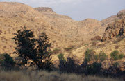 Zum Namib-Naukluft Nationalpark gehören auch die Naukluftberge. Hier regnet es mit durchschnittlich 195 mm/Jahr (maximal 500 mm/Jahr) wesentlich mehr als in der Wüste, wodurch selbst in der Trockenzeit eine üppige Vegetation bewahrt wird.