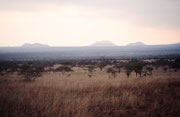 Abendstimmung in Tsavo West. Wir blieben nur sehr kurz in diesem Nationalpark (einen Nachmittag und eine Nacht)