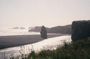 Am Kap Dyrhólaey ist der einzigartige schwarze Strand von Reynisfjara und ein weiterer schwarzer Strand mit Namen Solheimfiara.