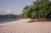 Great Anse Beach