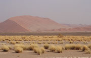 Die das Vlei umgebenden orangefarbenen Dünen zählen mit bis zu über 380 Meter Höhenunterschied gegenüber der Pfanne zu den höchsten der Welt. Sie entstanden in vielen Millionen Jahren.