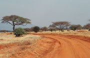 Auf unserem ersten Rastplatz wurden wir unmissverständlich mit den Verhaltensregeln eines Campers in einem kenianischen Nationalpark vertraut gemacht (Tsavo East)