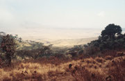 Blick auf der Fahrt vom Ngorongoro Kraterrand hinunter in die Serengeti Ebene.