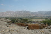 Landschaft auf der Fahrt nach Nazca. Die umliegenden Berge sind trocken und kaum von Vegetation bedeckt, aber die Täler sind - fast wie Oasen - grün und intensiv bewirtschaftet.