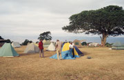 Unsere zwei Guides (Fahrer und Koch) beim Aufstellen unseres Zeltes im Camp auf dem 2235 m hohen Rand des Ngorongoro Kraters (ja es war kalt). Beim Baum im Hintergrund durfte man nicht zelten, weil Elefanten gelegentlich kommen, um die Früchte zu fressen.