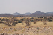 Im Hintergrund die charakteristischen Tafelberge des Damaralandes, die wir auf staubiger, kurviger Kiesstrasse zu überqueren hatten um unser Ziel - Palmwag - zu erreichen, ein Fixpunkt im nordwestlichen Damaraland am Uniab Fluss.