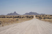 Die Rückfahrt nach Swakopmund führte uns zur Spitzkoppe. Dabei handelt es sich um einen Inselberg, der seine Umgebung 700 Meter überragt. Aufgrund seiner markanten Form wird er auch als das „Matterhorn Namibias“ bezeichnet.