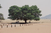 Unser Zeltplatz im Namib-Naukluft-Nationalpark, im Sossusvlei, einer von Namibsand-Dünen umschlossenen Salz-Lehm-Pfanne („Vlei”), die nur in sehr seltenen, guten Regenjahren Wasser führt. „Sossus” bedeutet „blinder Fluss” in der Sprache der Nama.