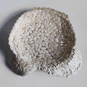 Piatto  " Ali " [ seme di zucca ] p.d.a. 2012