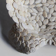 Piatto  " Ali " [ seme di zucca ] p.d.a. 2012( particolare )