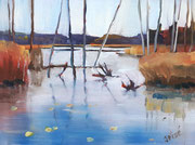 Beaver Pond at Kettle's Lake  8x6 oil on canvas board - unframed - $350 CA