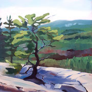 The Tree - 6x6 oil on gessobord - unframed - $160 CA