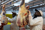 Reportage marché de Rungis 9 © Olivier Philippot