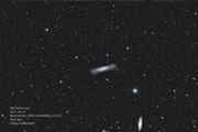 NGC3628, Teleskop BorenSimon 8"f3.6, Kamera ZWO ASI2600MC+LPS-D1 (der "Gezeitenschweif" ist nur andeutungsweise sichtbar)