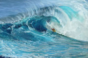 "Breath of Pe áhi, Jaws"; Pastell 39x49cm,gerahmt 60x80cm,(C)D.Saul 2015,Ref. M. Neal