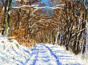 "Winter path" Pastell, 21x29cm, UART 400 Terry ludwig softpastelle, (C)D.Saul 2017