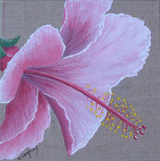 "Hibiscus rose" - acrylique - 20 x 20 cm