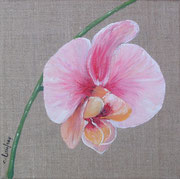 "Orchidée rose" - acrylique - 20 x 20 cm
